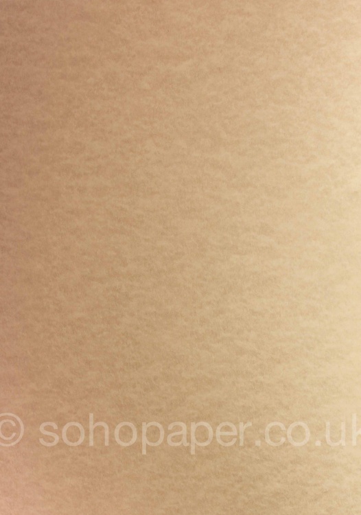 parchment paper buy parchment paper buy