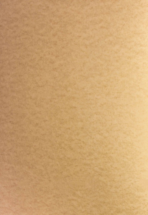 Where to buy parchment paper for writing
