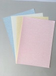 Parchment  Paper Assorted Shades