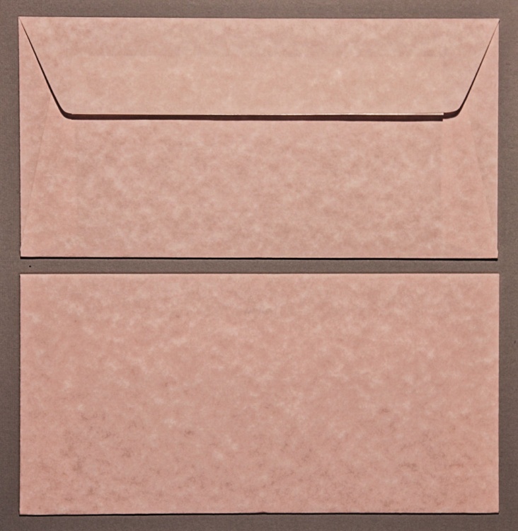 Parchment Pink DL - 110 x 220mm Envelopes - Peal & Seal - Soho Paper